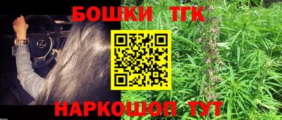 стаф Кандалакша