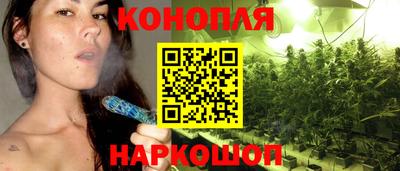стаф Кандалакша