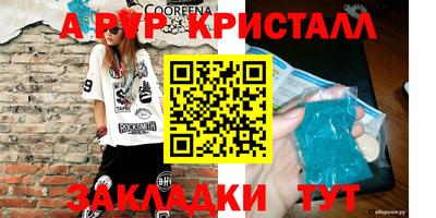 стаф Кандалакша