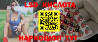 эйфоретик Камышлов