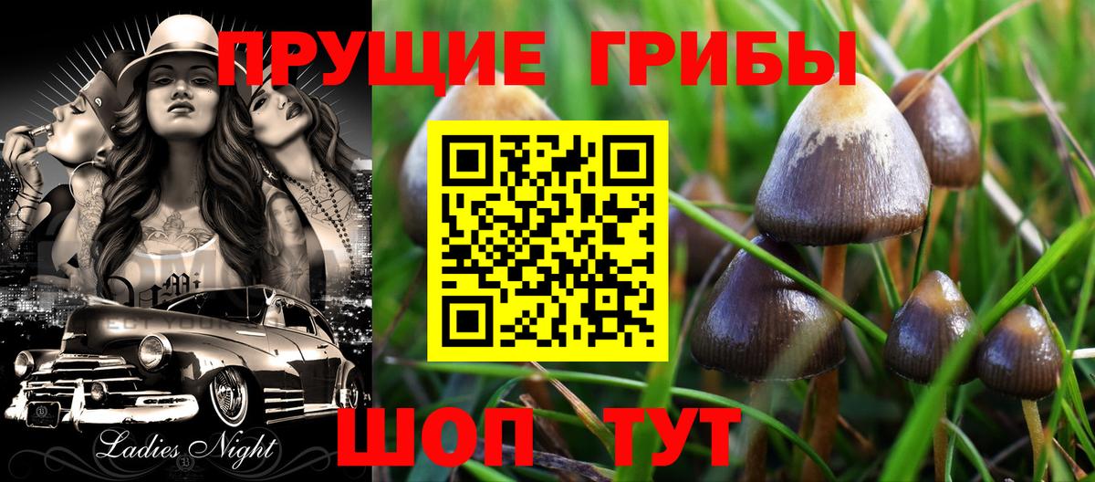 Псилоцибиновые грибы ЛСД  Вход с VPN  Биробиджан  Псилоцибиновые грибы Psilocybe 