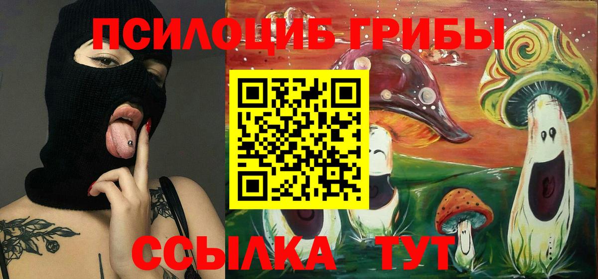 Псилоцибиновые грибы прущие грибы Биробиджан